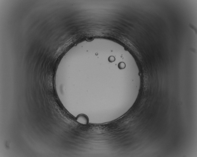 X0000100470489200807031831