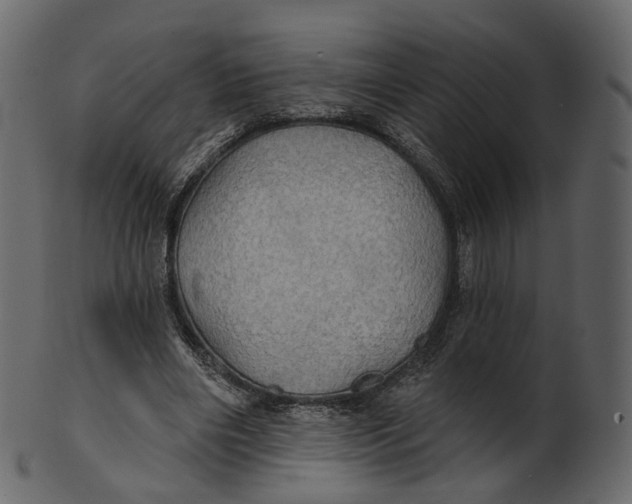 X0000100470490200807031831