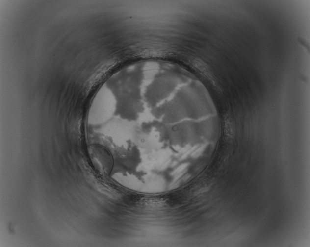 X0000100470491200807031831