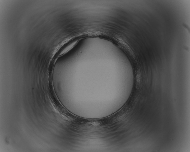 X0000100470492200807031831