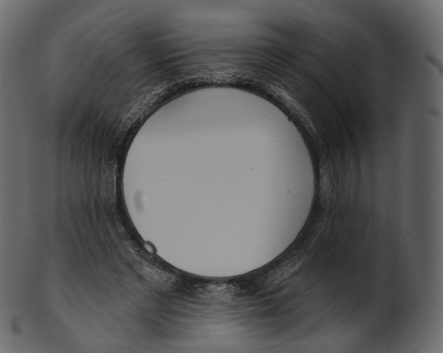 X0000100470493200807031831