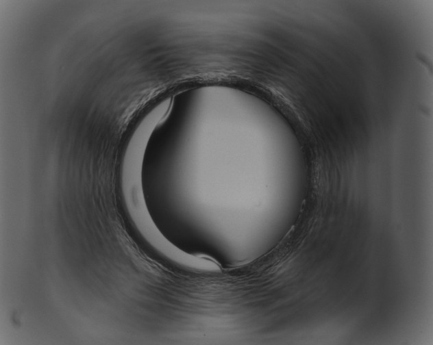 X0000100470495200807031831