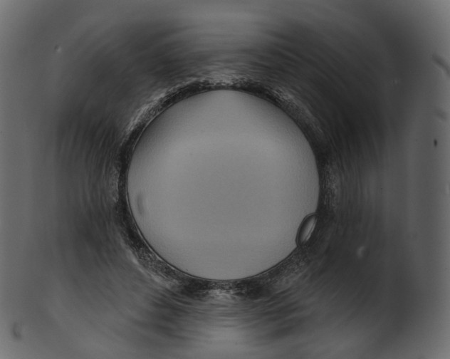 X0000100470496200807031831