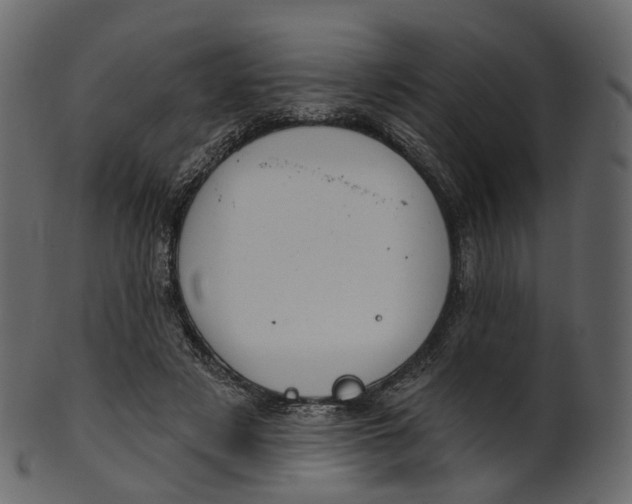 X0000100470497200807031831