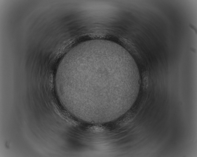 X0000100470498200807031831