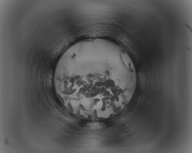 X0000100470499200807031831