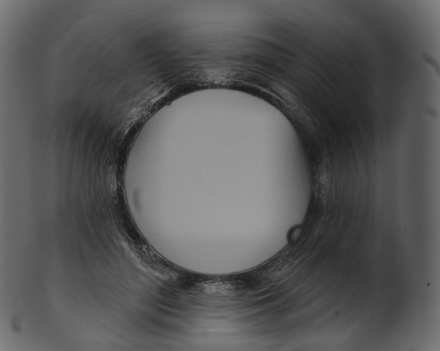 X0000100470500200807031831