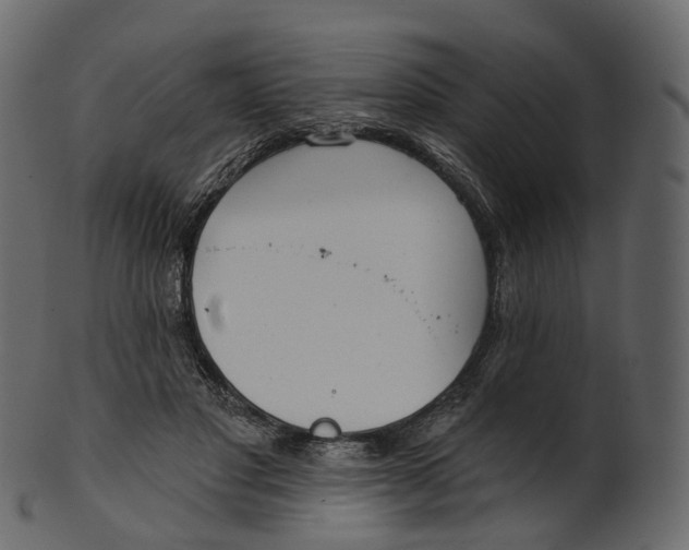 X0000100470501200807031831