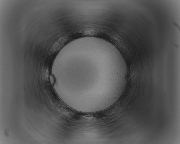 X0000100470502200807031831