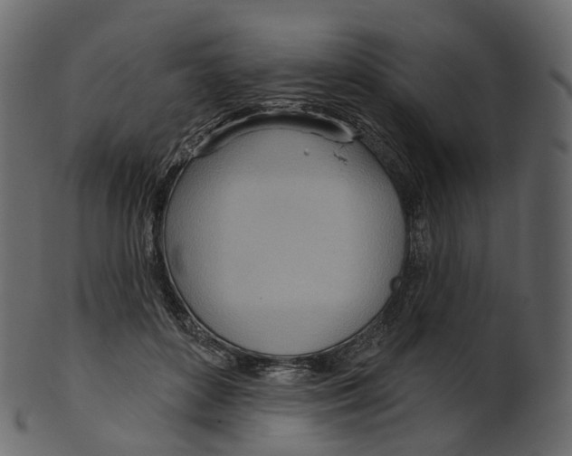 X0000100470504200807031831