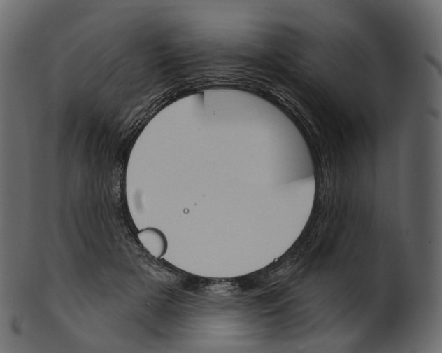 X0000100470505200807031831