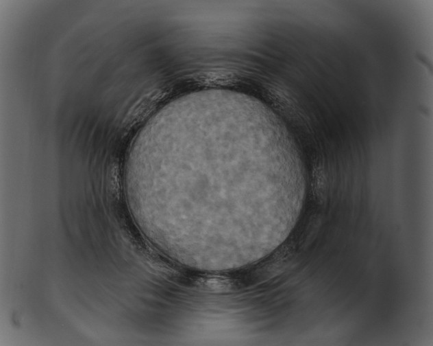 X0000100470506200807031831