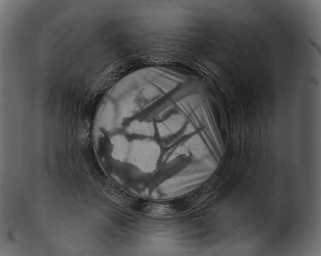 X0000100470507200807031831