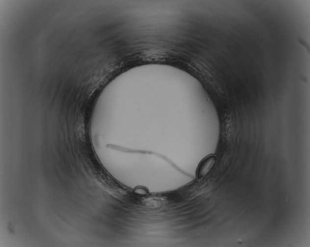 X0000100470508200807031831