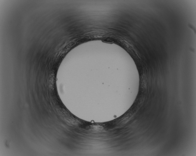 X0000100470509200807031831