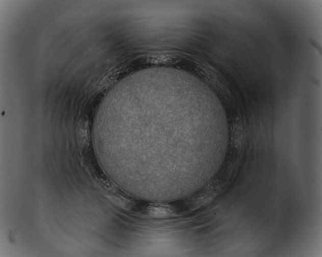 X0000100470510200807031831