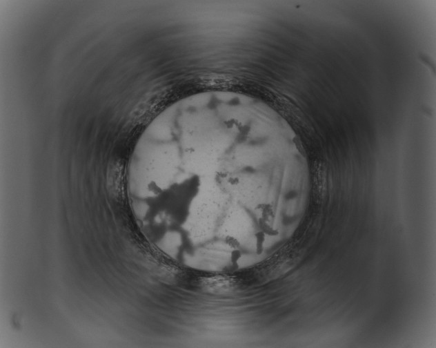 X0000100470511200807031831