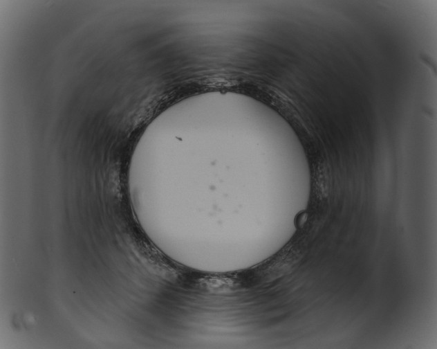 X0000100470512200807031831