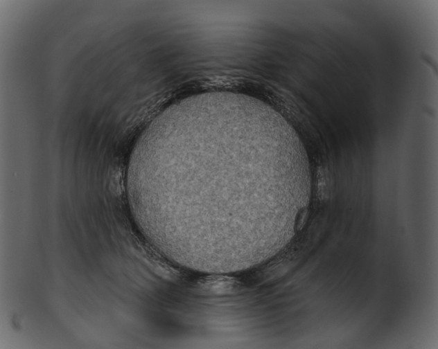 X0000100470514200807031831