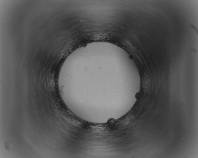 X0000100470516200807031831