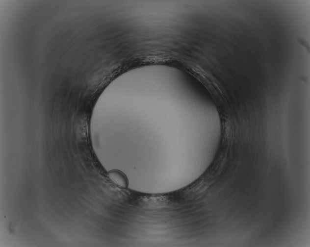 X0000100470517200807031831