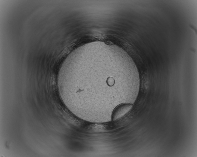 X0000100470518200807031831