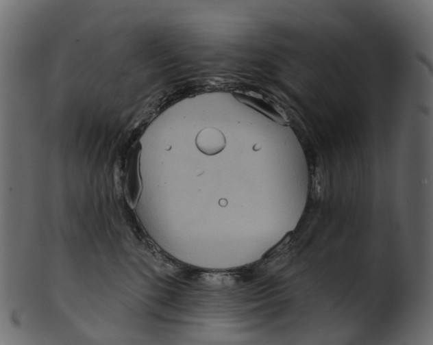 X0000100470520200807031831