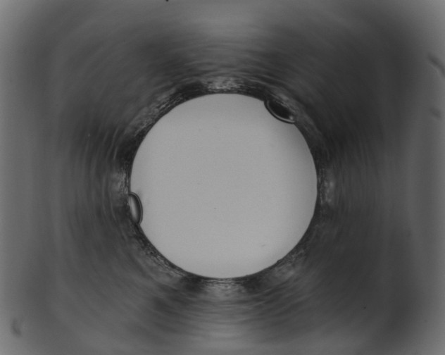 X0000100470521200807031831