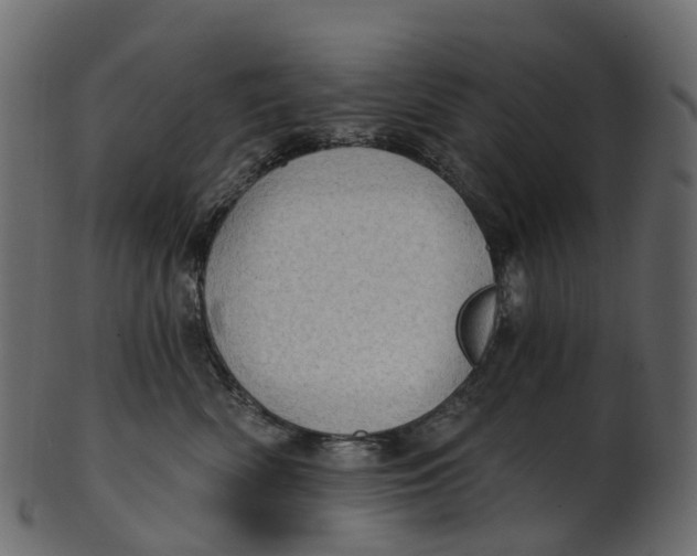 X0000100470522200807031831