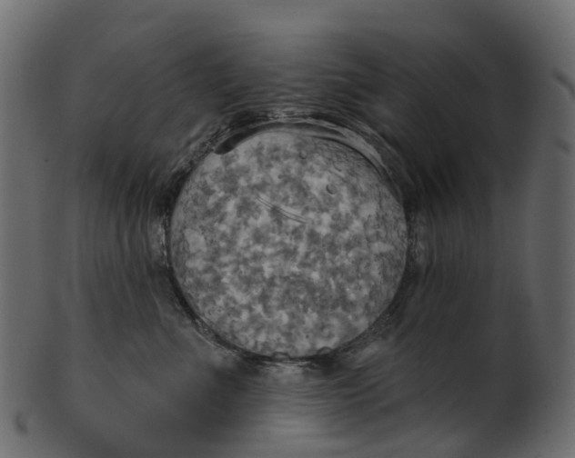 X0000100470523200807031831