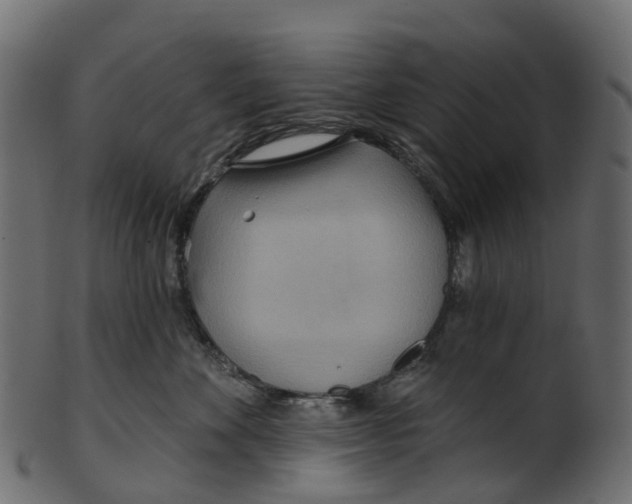 X0000100470524200807031831