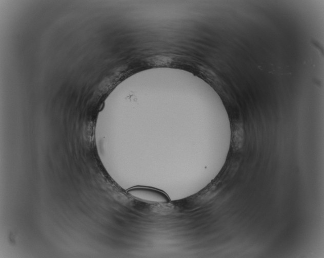 X0000100470525200807031831