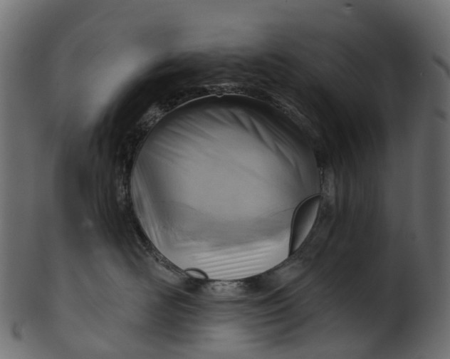 X0000100470526200807031831