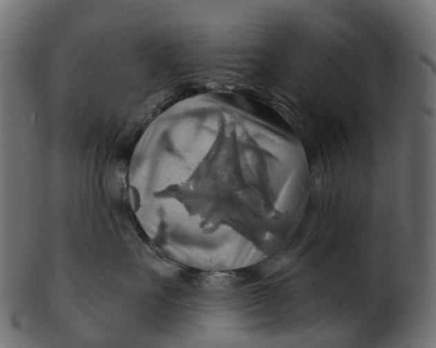 X0000100470527200807031831