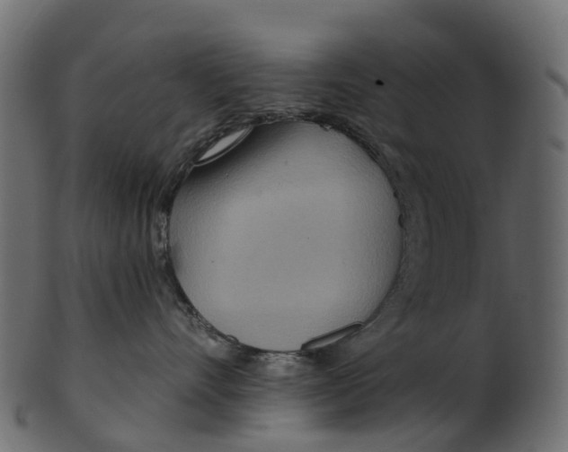 X0000100470528200807031831