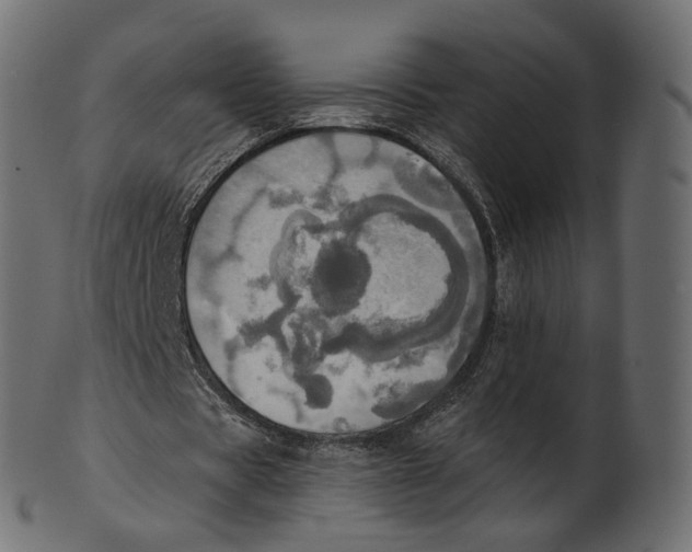 X0000100470529200807031830