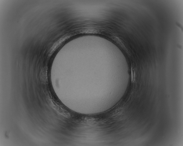 X0000100470531200807031830