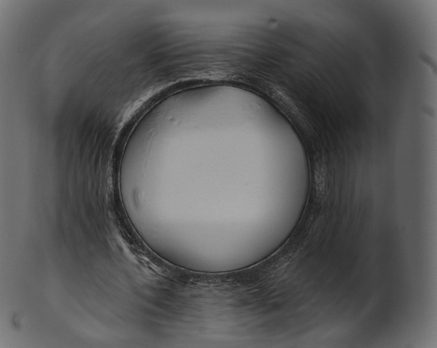 X0000100470532200807031830