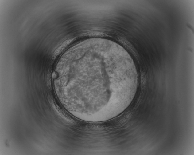 X0000100470533200807031830