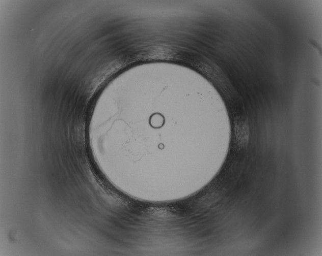 X0000100470534200807031830