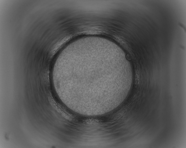 X0000100470535200807031830