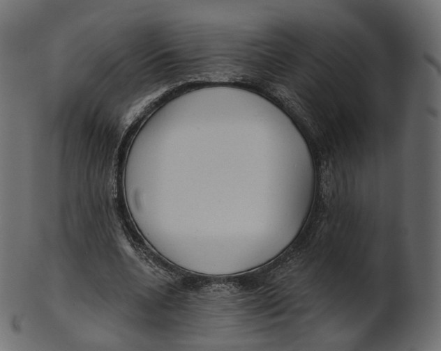 X0000100470536200807031830