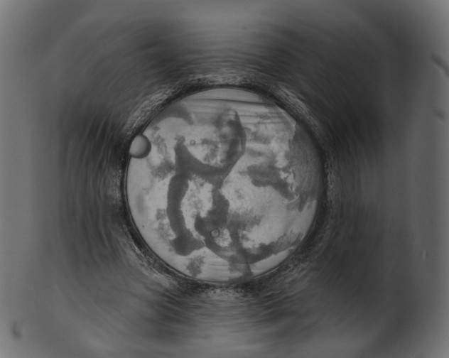 X0000100470537200807031830