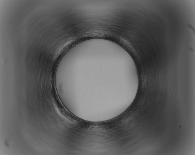 X0000100470538200807031830