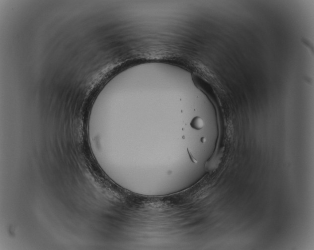 X0000100470540200807031830