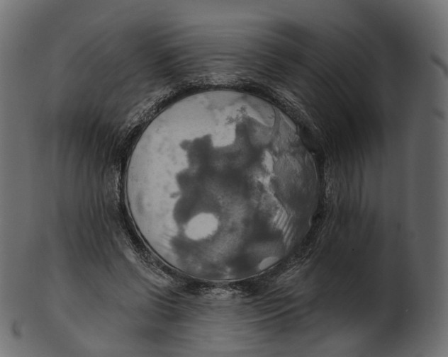 X0000100470542200807031830