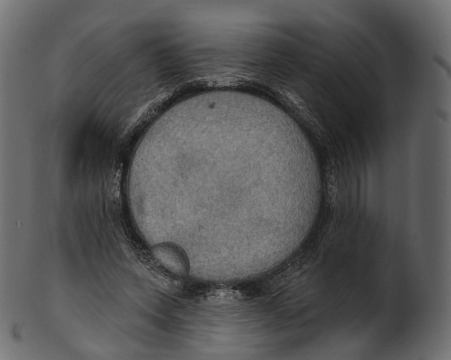 X0000100470543200807031830