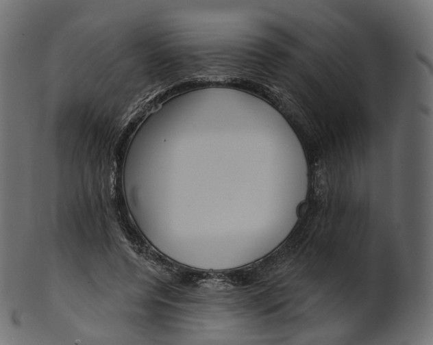 X0000100470544200807031830