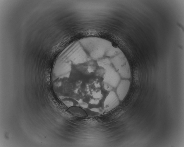 X0000100470545200807031830