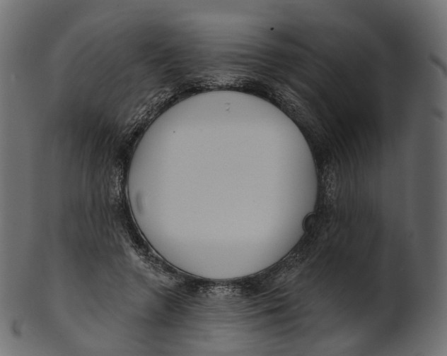 X0000100470546200807031830